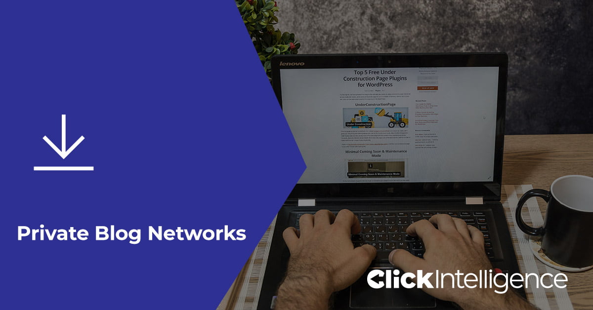 An e-book cover image titled 'Private Blog Networks', shows a a man's hands typing on a laptop.