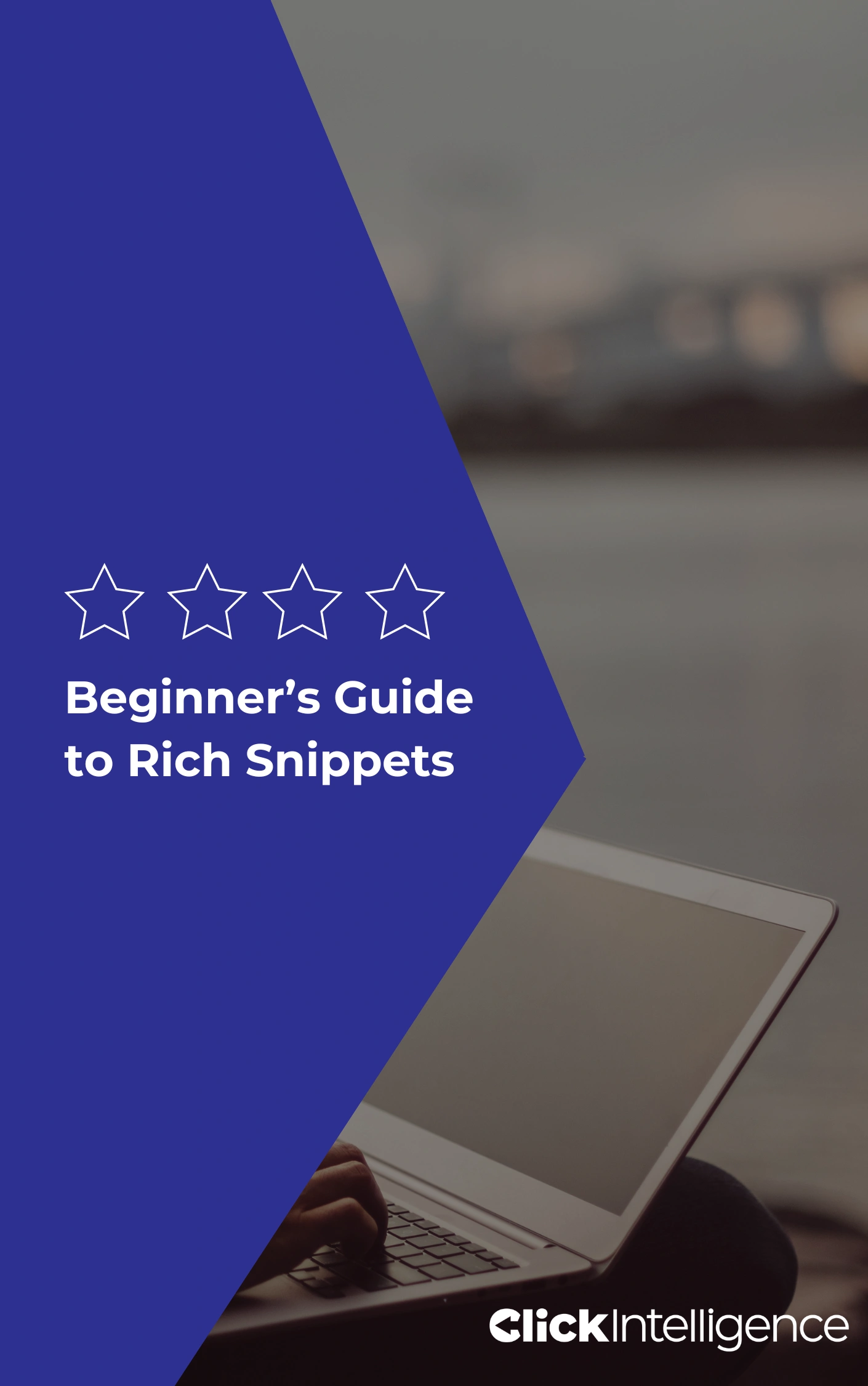 Beginner's Guide to Rich Snippets
