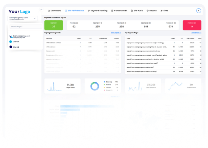 Click Insights white label dashboard graphic example.